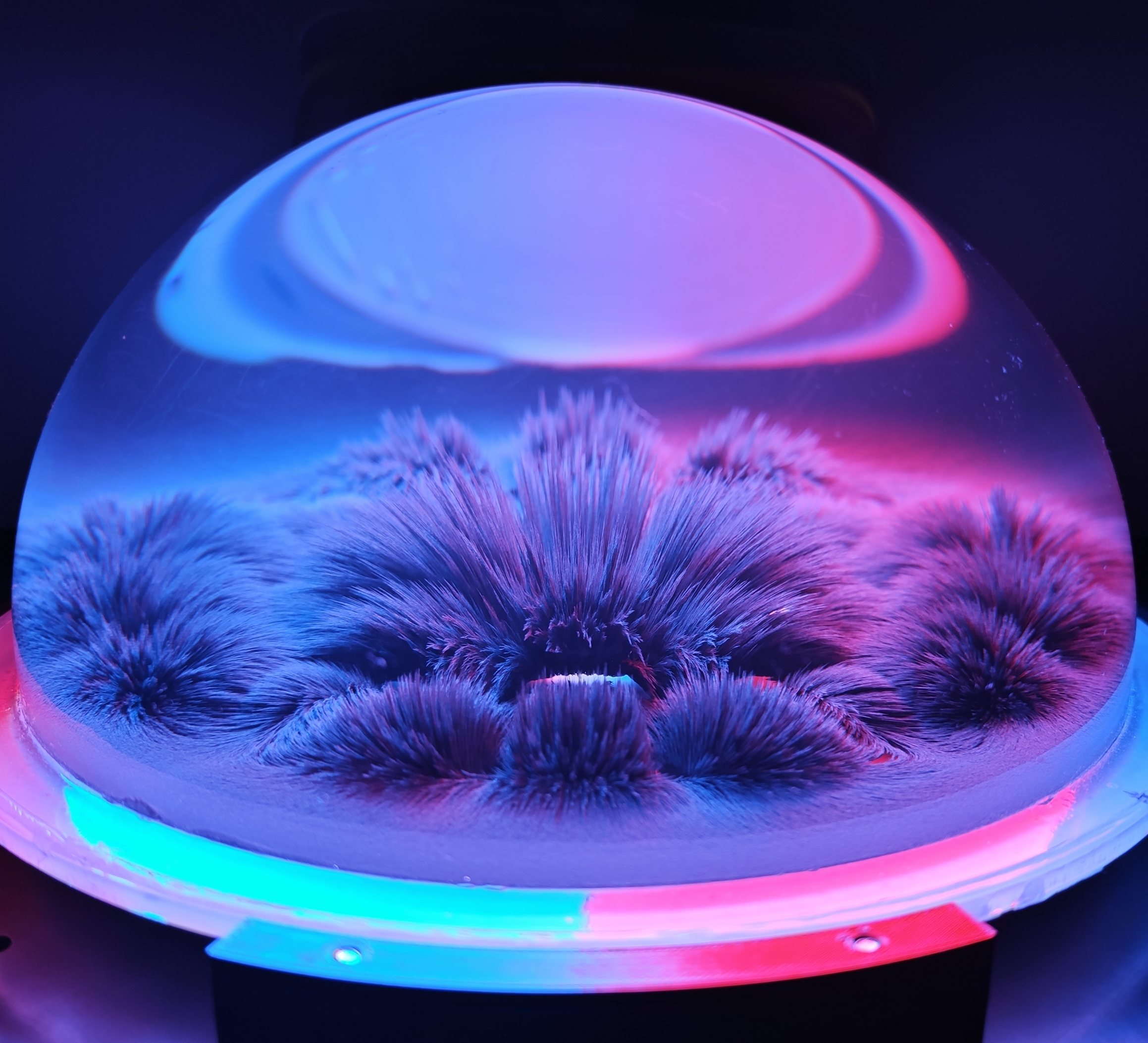 magnetic field